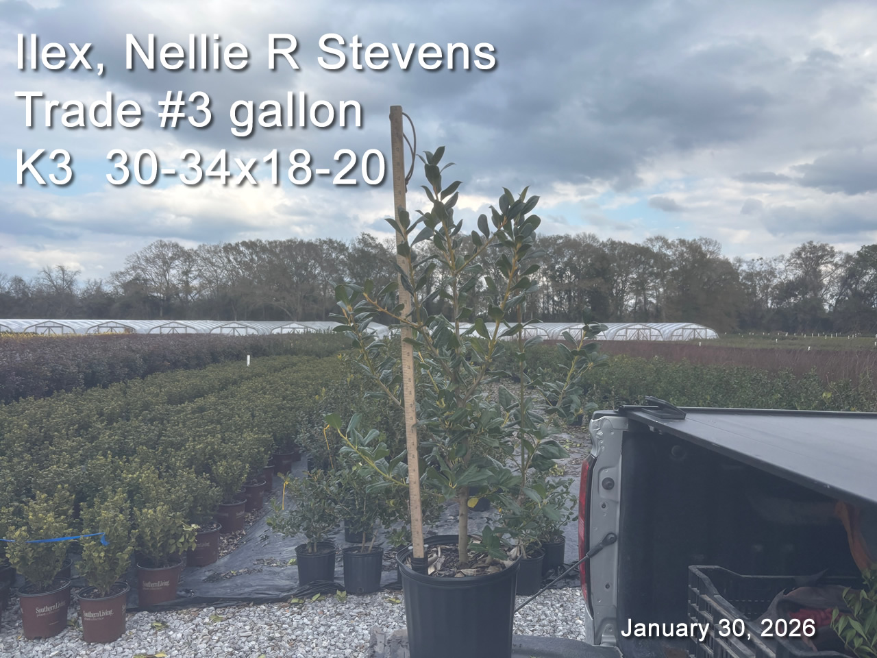 gallery/nrs3t k3 jan30.jpg